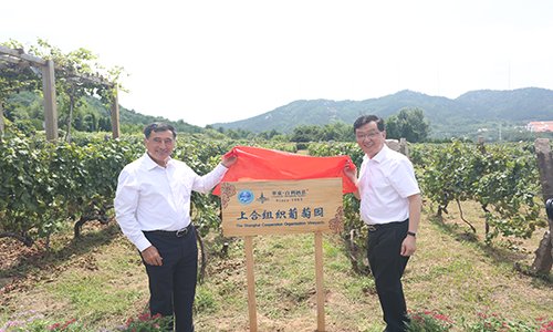 1598255258635184.png 78678978351233.png