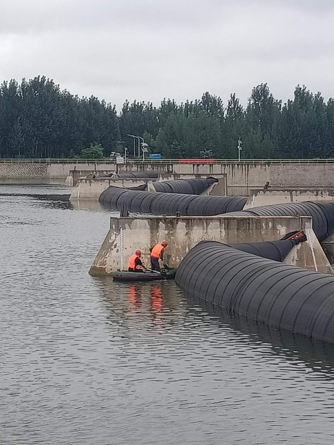 1599117060702372.jpg 配圖2.jpg