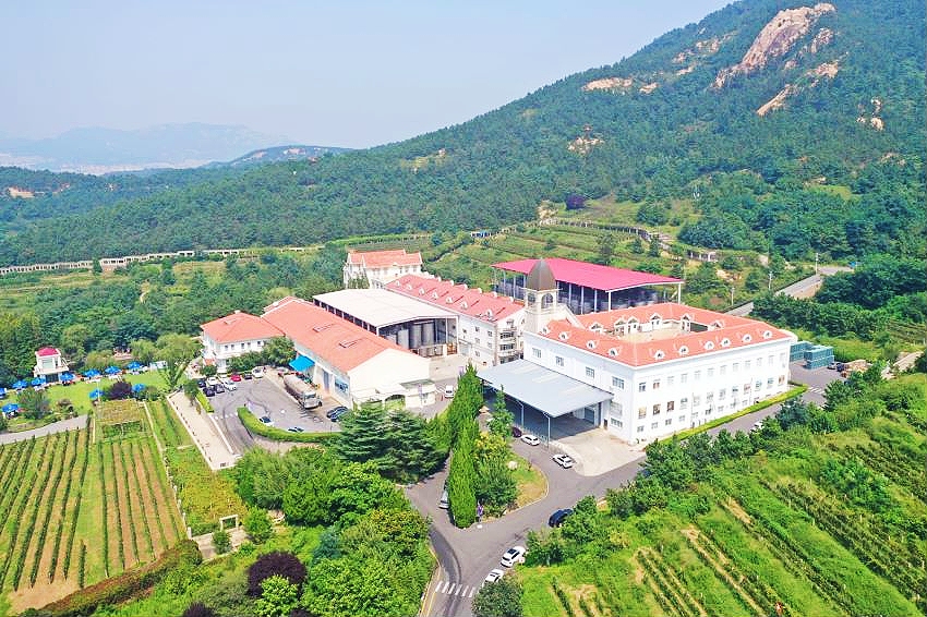 1599321499887126.jpg 1.jpg