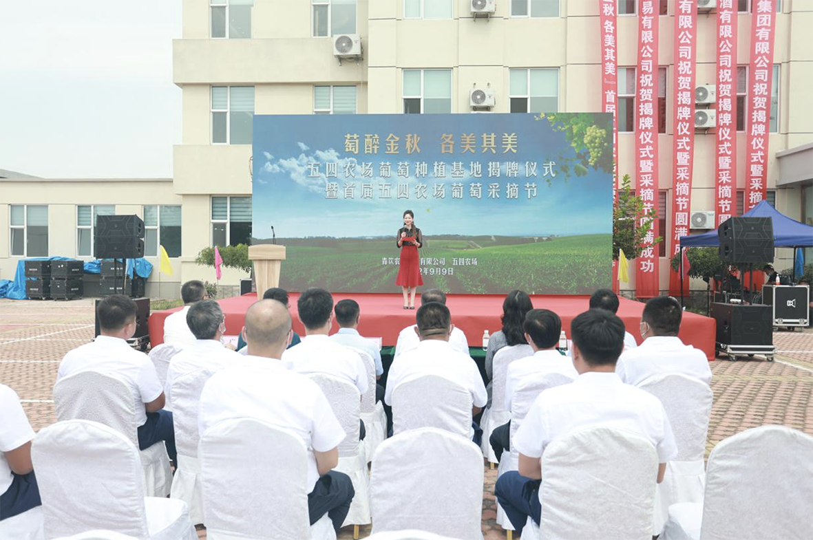 1662720329837180.png 01.png