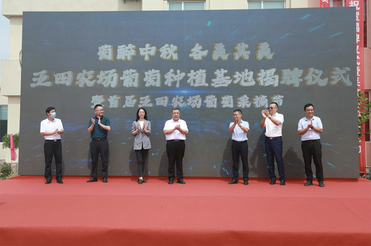 1662720395368461.png 04.png