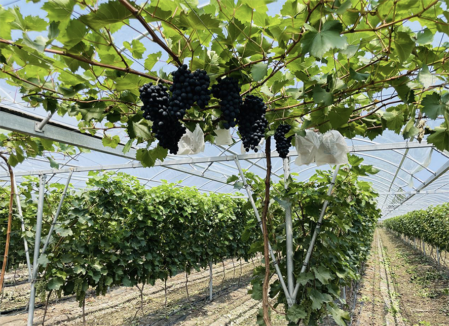 1662720634415645.png 08.png