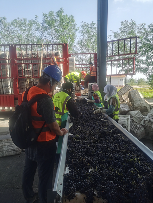 1664718938964859.png 華東01.png